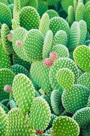 ปกนิยาย (SF/OS;) hello, my love stories ♡ | kookmin