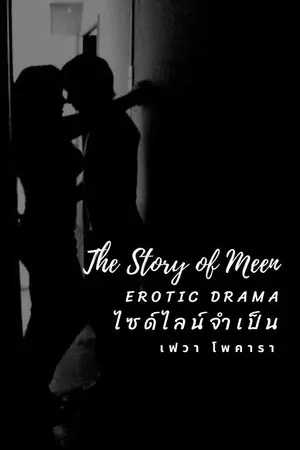 ปกนิยาย The Story of Meen : ไซด์ไลน์จำเป็น