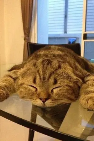 ปกนิยาย {FAN FICTION} Call Me 'A B N O R M A L'