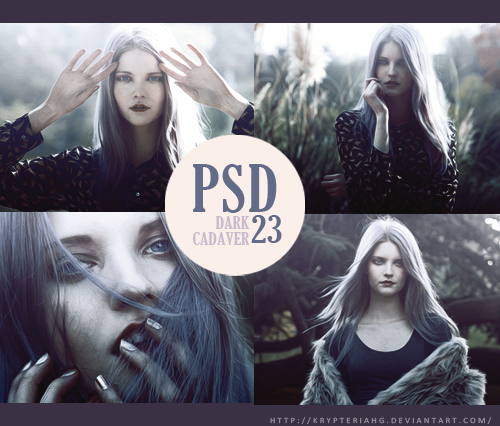 Download แจก PSD Photoshop สวยๆ ♥ | Dek-D.com