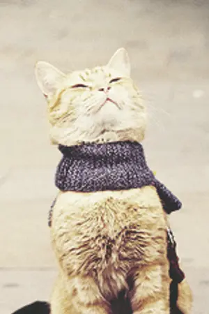 ปกนิยาย インフィニット ✉ on this vacation