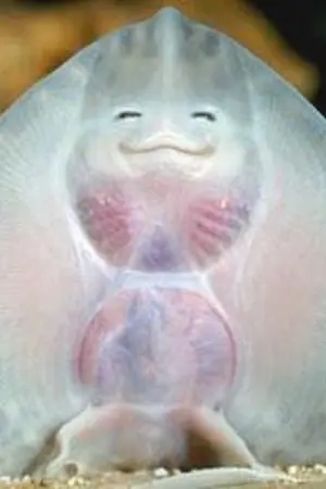 ปกนิยาย In the see🐋 #ChanBaek