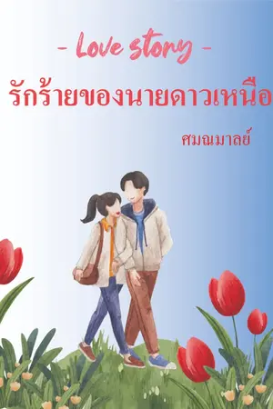 ปกนิยาย Love Story รักร้ายของนายดาวเหนือ
