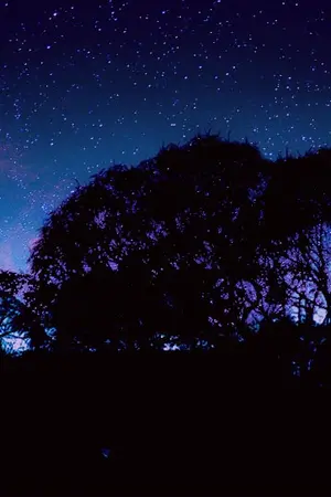 ปกนิยาย Three World สายสัมพันธ์สามเผ่าพันธุ์ ภาค ปีศาจแห่งโลกเวทมนตร