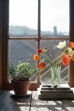 ปกนิยาย Dear my Tuscany หวานใจทัสกานี