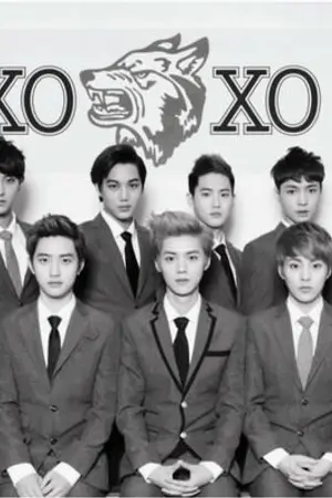 ปกนิยาย [EXOxYOU] XOXO KISS&HUG >M<