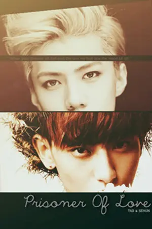 ปกนิยาย POL {Taohun}