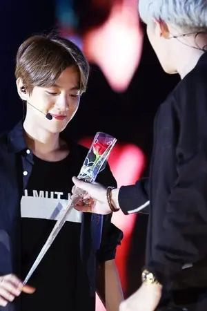 ปกนิยาย คู่ชีวิต (Chanbaek)