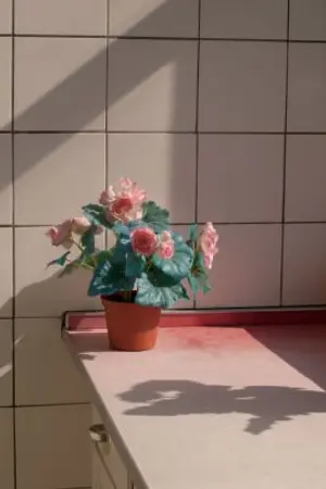 ปกนิยาย SEEK (JUNDONG)