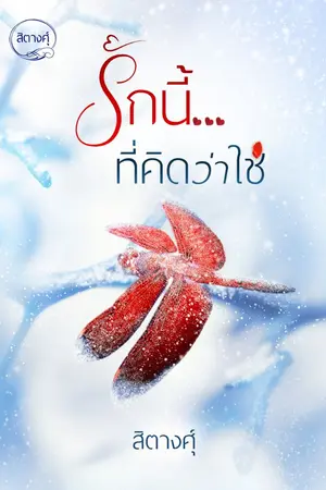 ปกนิยาย รักนี้...ที่คิดว่าใช่ (Ebook 23-4-64)