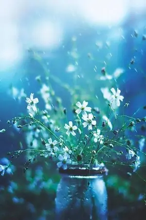 ปกนิยาย ห้วงรักจำแลง