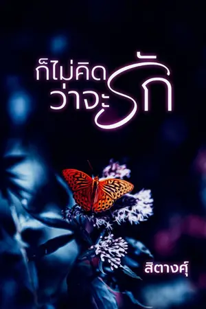 ปกนิยาย