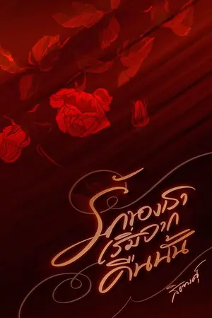 ปกนิยาย รักของเราเริ่มจากคืนนั้น