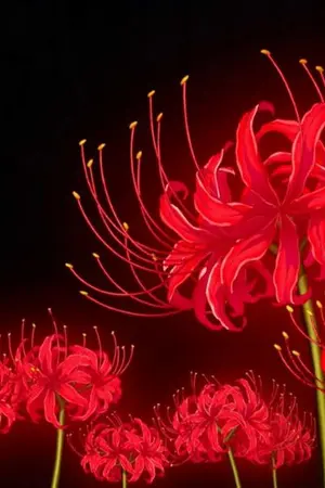 ปกนิยาย [Kimetsu no yaiba] The Soul Judge Hikangbana [OC/Yaoi]