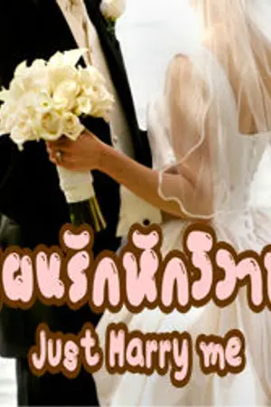 ปกนิยาย แผนรักหักวิวาห์