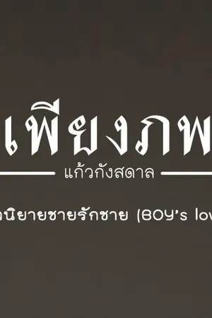 ปกนิยาย