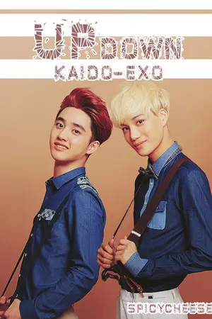 ปกนิยาย [EXO] "UP&DOWN" อ่อนไหว [KAIDO]