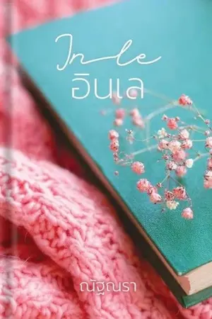 ปกนิยาย In le อินเล