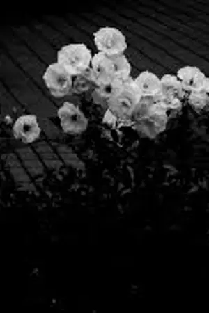 ปกนิยาย Micropasta