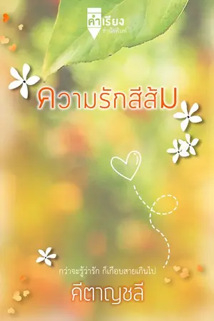 ปกนิยาย