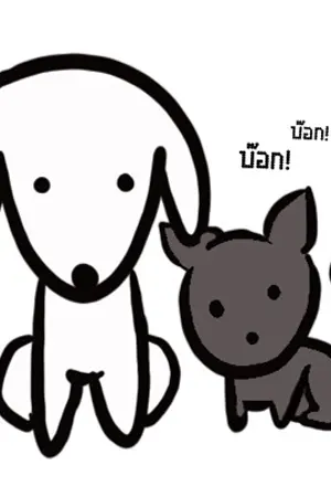 ปกนิยาย