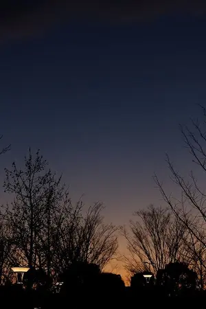 ปกนิยาย 〔Fic APH〕Alliance 『ASAKIKU』