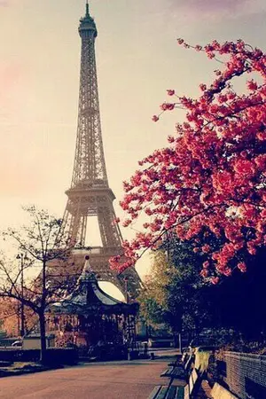 ปกนิยาย [EXO] Je t'aime toujours (krisyeol)