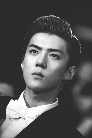 ปกนิยาย สะใภ้เจ้า  | sekai chanbaek exo