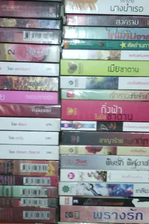 ปกนิยาย นวนิยายมือสอง มือหนึ่งราคาพิเศษ ลดกว่าครึ่ง