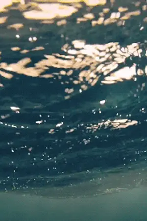 ปกนิยาย 【 AU fic 】Siren #SoonHoon | จบแล้ว