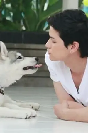 ปกนิยาย {Taokacha} Love me Love my dog