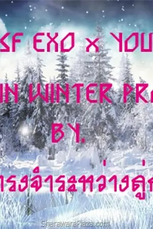 ปกนิยาย SF EXO x YOU Love in Winter Project