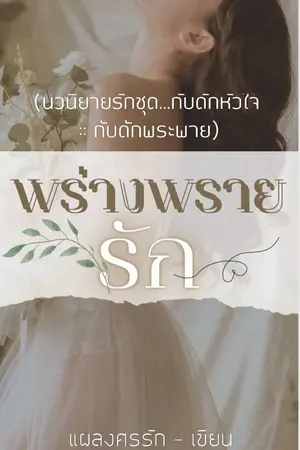ปกนิยาย พร่างพรายรัก