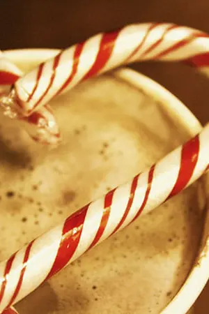 ปกนิยาย (exo)  cordial christmas