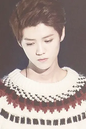 ปกนิยาย (exo)  I Almost Do  |  lubaek