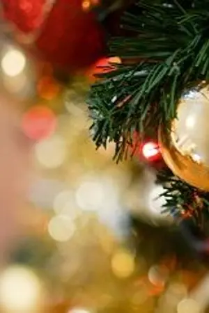 ปกนิยาย centimeters  |  ongniel