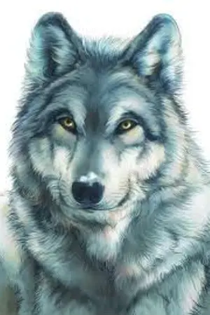 ปกนิยาย [EXO x YOU] Wolf ver.drama,My girl.(รีไรท์)