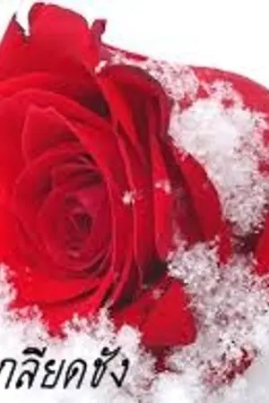 ปกนิยาย [EXO x YOU] Snow rose to Hate #ฟิคเกลียดชัง