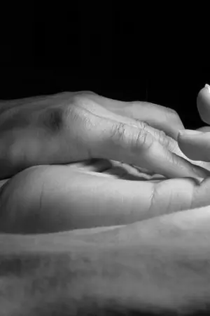 ปกนิยาย หัวใจสีควันบุหรี่