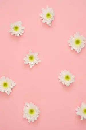 ปกนิยาย sf/os; lemme be your perfect day ♡ chanbaek