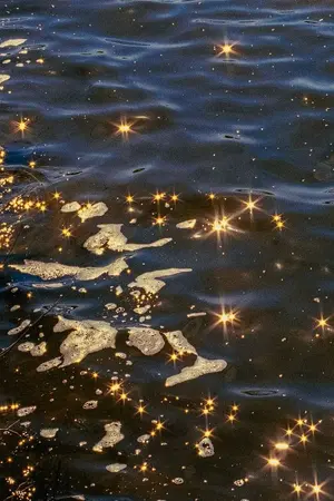 ปกนิยาย PHENOMENAL | taekook os