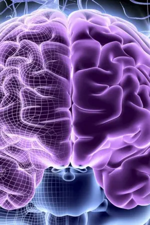 ปกนิยาย Neuman alchemy เล่นแร่แปรโลก