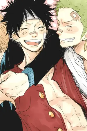ปกนิยาย Fic One Piece (ZOROxLUFFY)