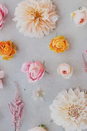 ปกนิยาย 61 LIPDA {HUNHAN}