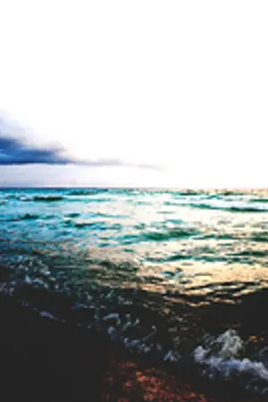 ปกนิยาย Short fic (箱) ♡ : couple freedom