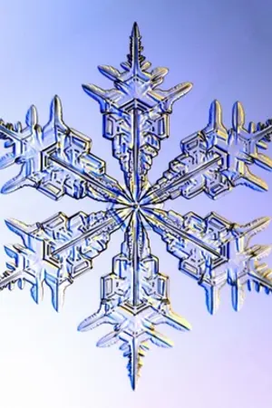 ปกนิยาย I'm Winter Storm ลิขิตตำนานใหม่ให้เด็กชายธรรมดา