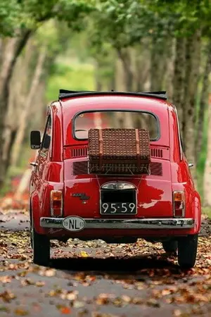 ปกนิยาย รักเราคือนิยาย