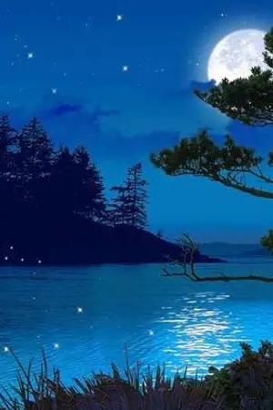 ปกนิยาย [Fic Magi]Truth of Destiny {NL}