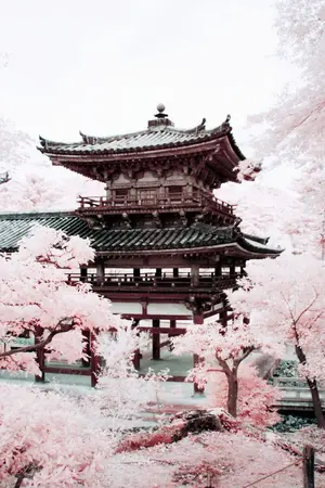 ปกนิยาย Before the sunrise l Kaisoo