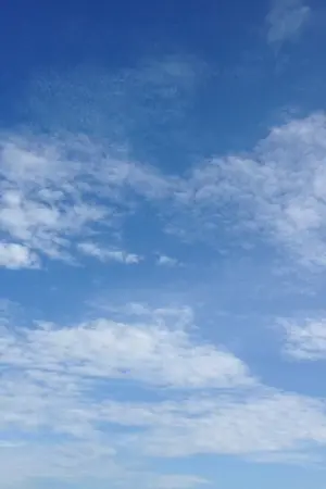 ปกนิยาย รักคงที่